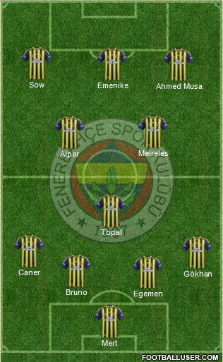 Fenerbahçe SK Formation 2013