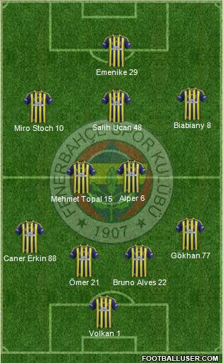 Fenerbahçe SK Formation 2013