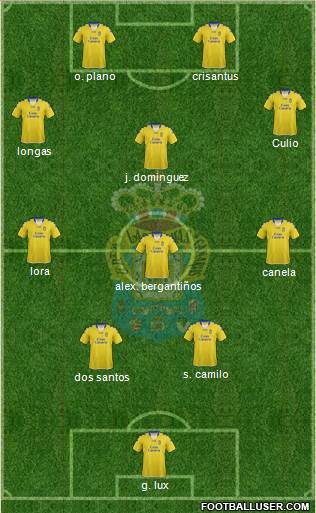 U.D. Las Palmas S.A.D. Formation 2013