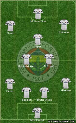 Fenerbahçe SK Formation 2013
