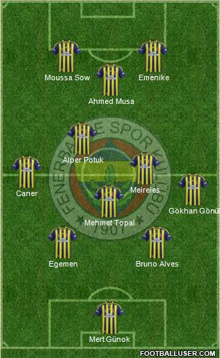 Fenerbahçe SK Formation 2013