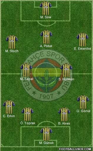 Fenerbahçe SK Formation 2013