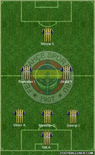 Fenerbahçe SK Formation 2013