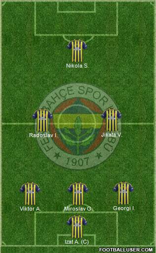 Fenerbahçe SK Formation 2013