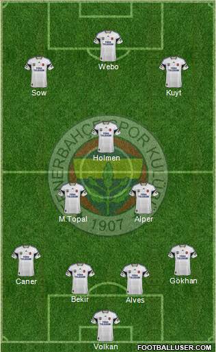 Fenerbahçe SK Formation 2013