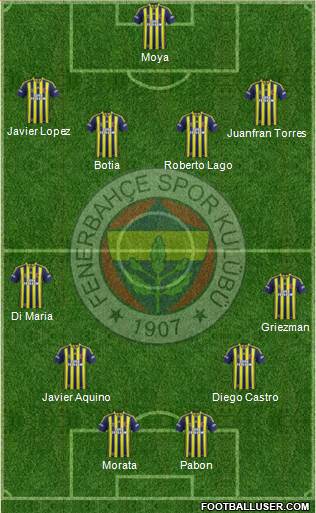Fenerbahçe SK Formation 2013