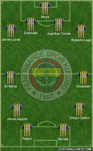 Fenerbahçe SK Formation 2013