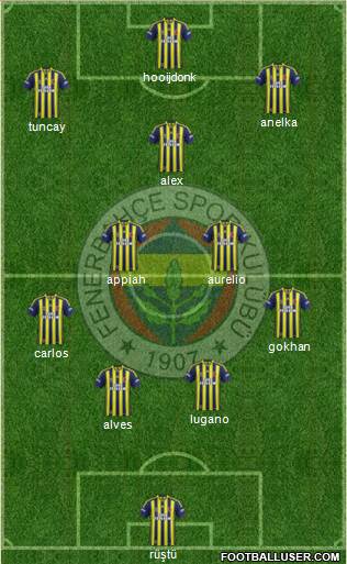 Fenerbahçe SK Formation 2013