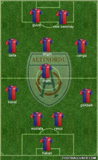 Altinordu Formation 2013