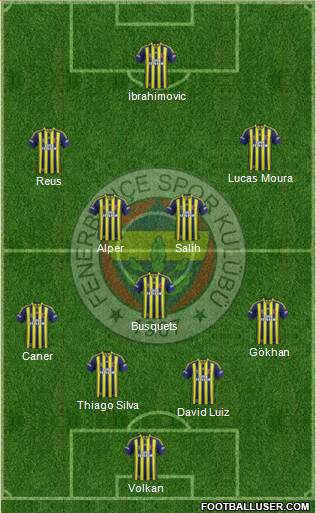 Fenerbahçe SK Formation 2013