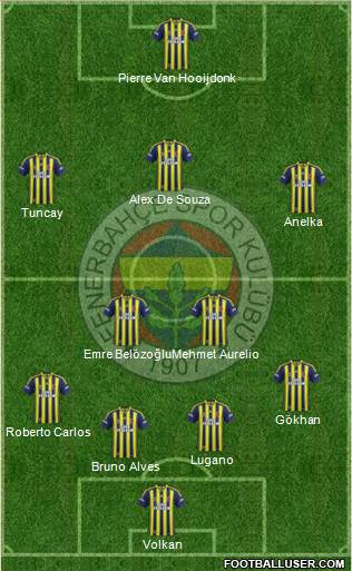 Fenerbahçe SK Formation 2013