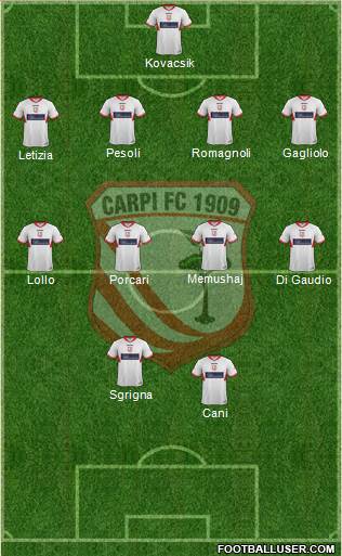 Carpi Formation 2013
