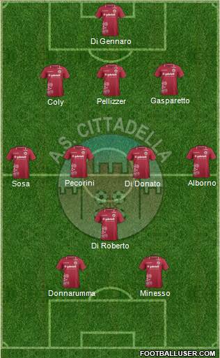 Cittadella Formation 2013