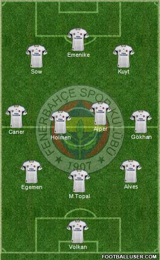 Fenerbahçe SK Formation 2013