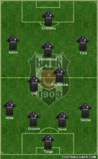 Besiktas JK Formation 2013