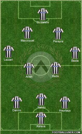 Udinese Formation 2013