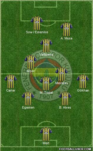 Fenerbahçe SK Formation 2013