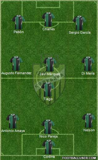FK Kolubara Lazarevac Formation 2013