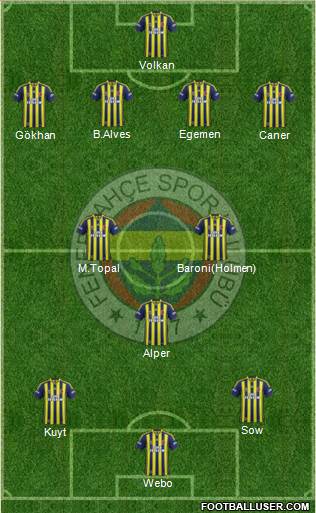 Fenerbahçe SK Formation 2013