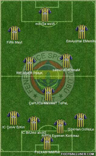 Fenerbahçe SK Formation 2013