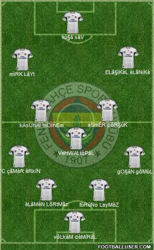 Fenerbahçe SK Formation 2013