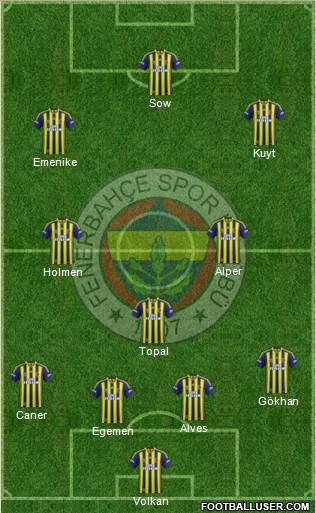 Fenerbahçe SK Formation 2013