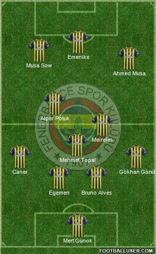 Fenerbahçe SK Formation 2013