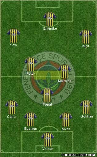 Fenerbahçe SK Formation 2013