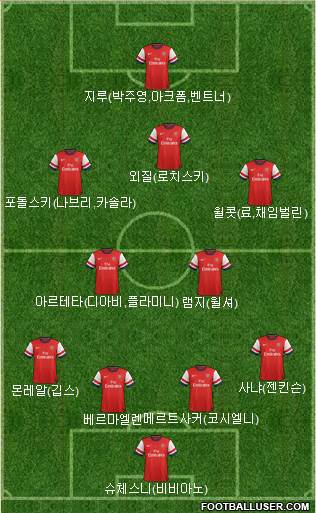 Arsenal Formation 2013