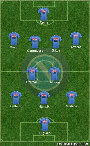 Napoli Formation 2013