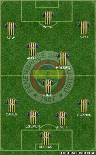 Fenerbahçe SK Formation 2013