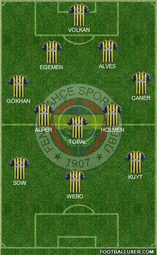 Fenerbahçe SK Formation 2013