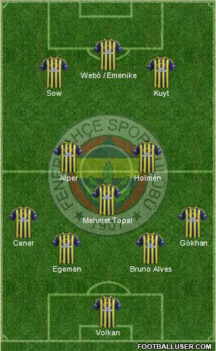 Fenerbahçe SK Formation 2013