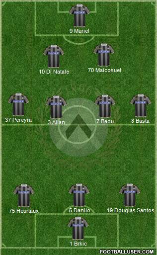 Udinese Formation 2013
