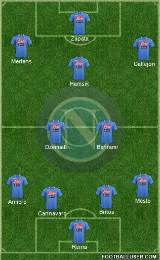 Napoli Formation 2013