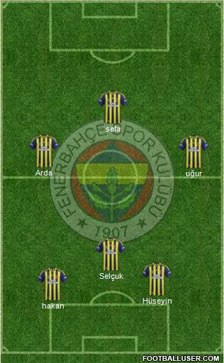 Fenerbahçe SK Formation 2013