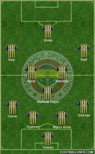 Fenerbahçe SK Formation 2013