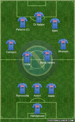 Napoli Formation 2013