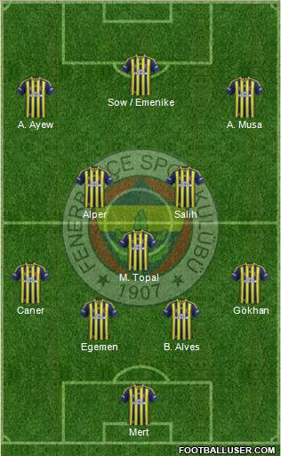 Fenerbahçe SK Formation 2013