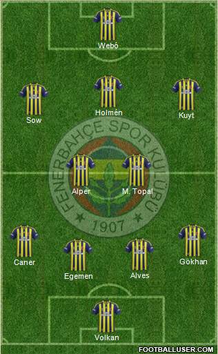 Fenerbahçe SK Formation 2013
