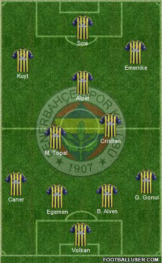 Fenerbahçe SK Formation 2013