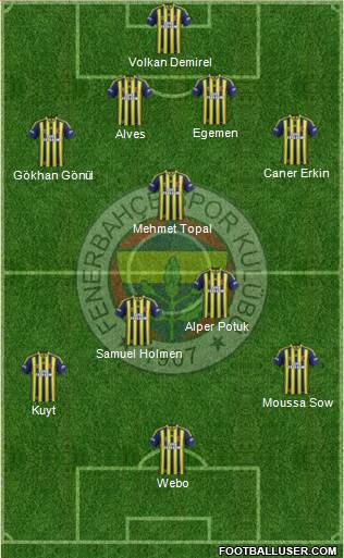 Fenerbahçe SK Formation 2013