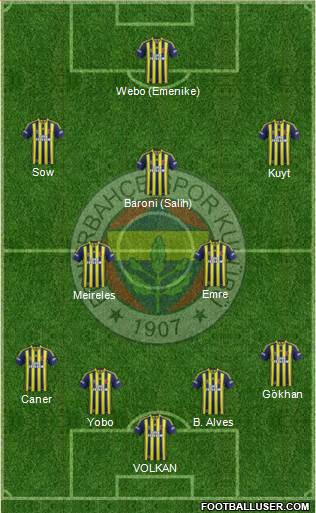 Fenerbahçe SK Formation 2013