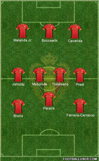 Belgium Formation 2013