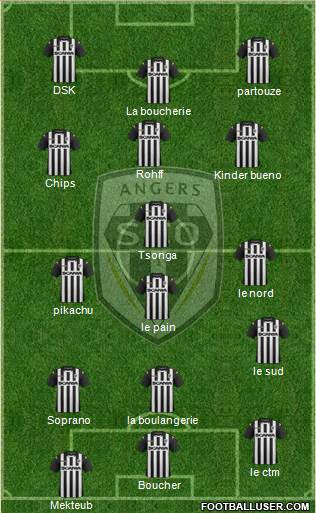 Angers SCO Formation 2013
