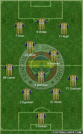 Fenerbahçe SK Formation 2013