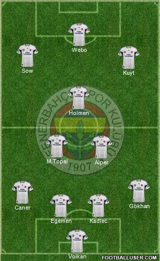 Fenerbahçe SK Formation 2013