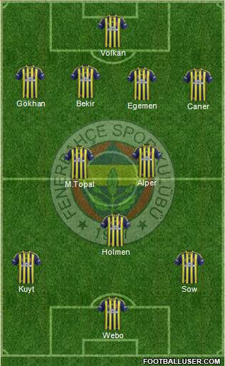 Fenerbahçe SK Formation 2013