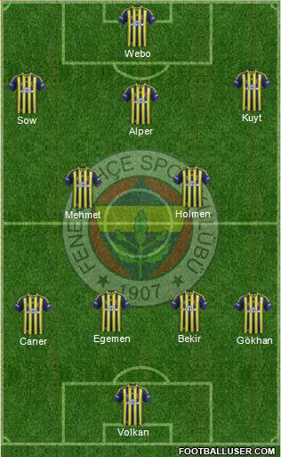 Fenerbahçe SK Formation 2013