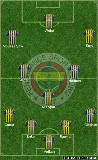 Fenerbahçe SK Formation 2013